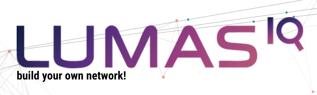 LUMAS Consulting Logo